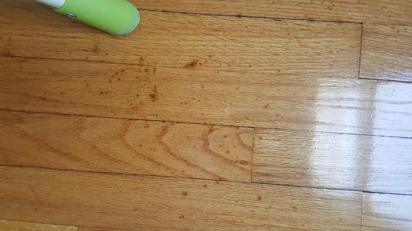 Does Your Wood Floor Look Old? Stain It, Here How To