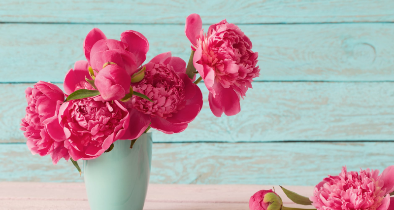 3 Best Mother’s Day Flowers
