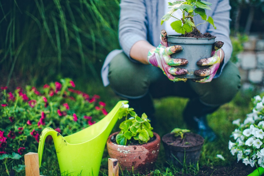 5 Ways Gardening Benefits Your Health