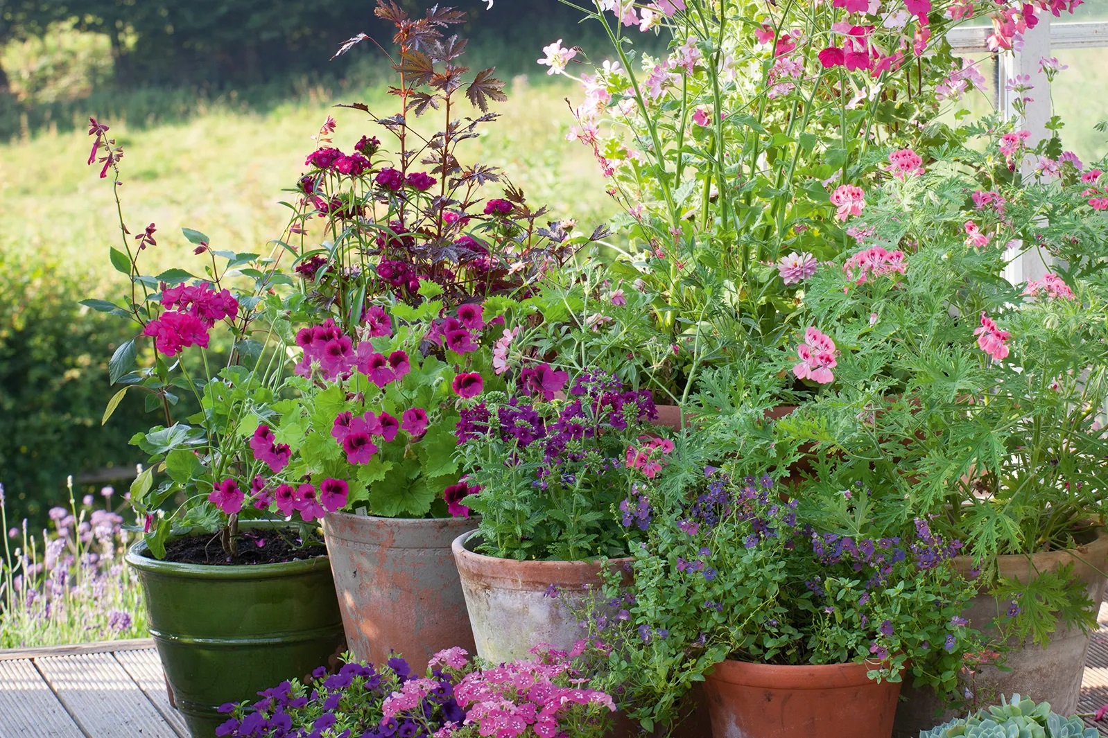 Bulk-Buy Brilliance: The Gardener’s Guide to Wholesale Nursery Containers